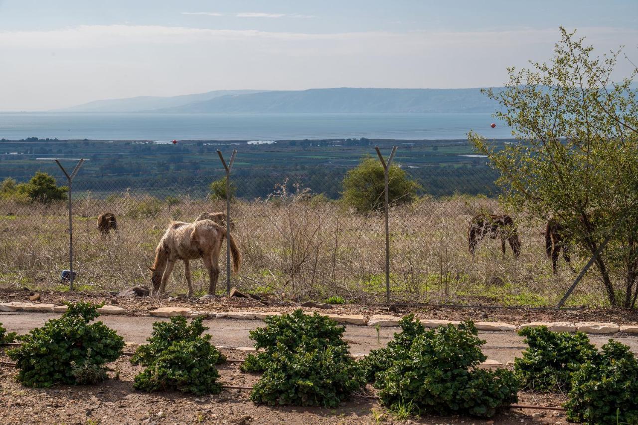 Nof Kinneret Cabins Had Nes Exterior foto